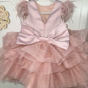 Pink Layered Dress with Bow and Feather Details
